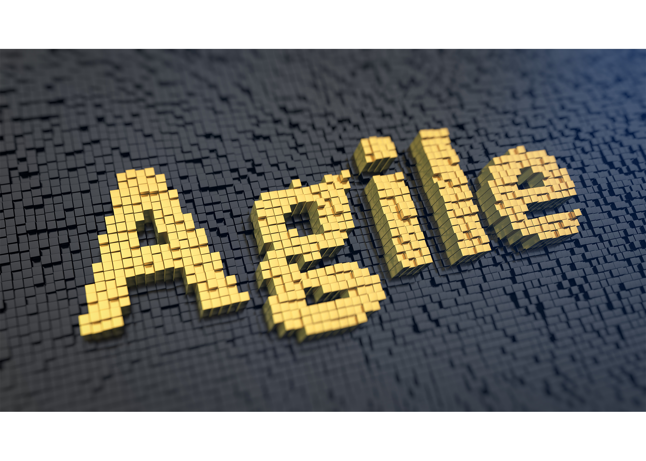 agile_development_negotiations_webnoggins